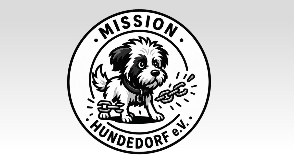 Wissen & Einblicke aus der Mission Hundedorf